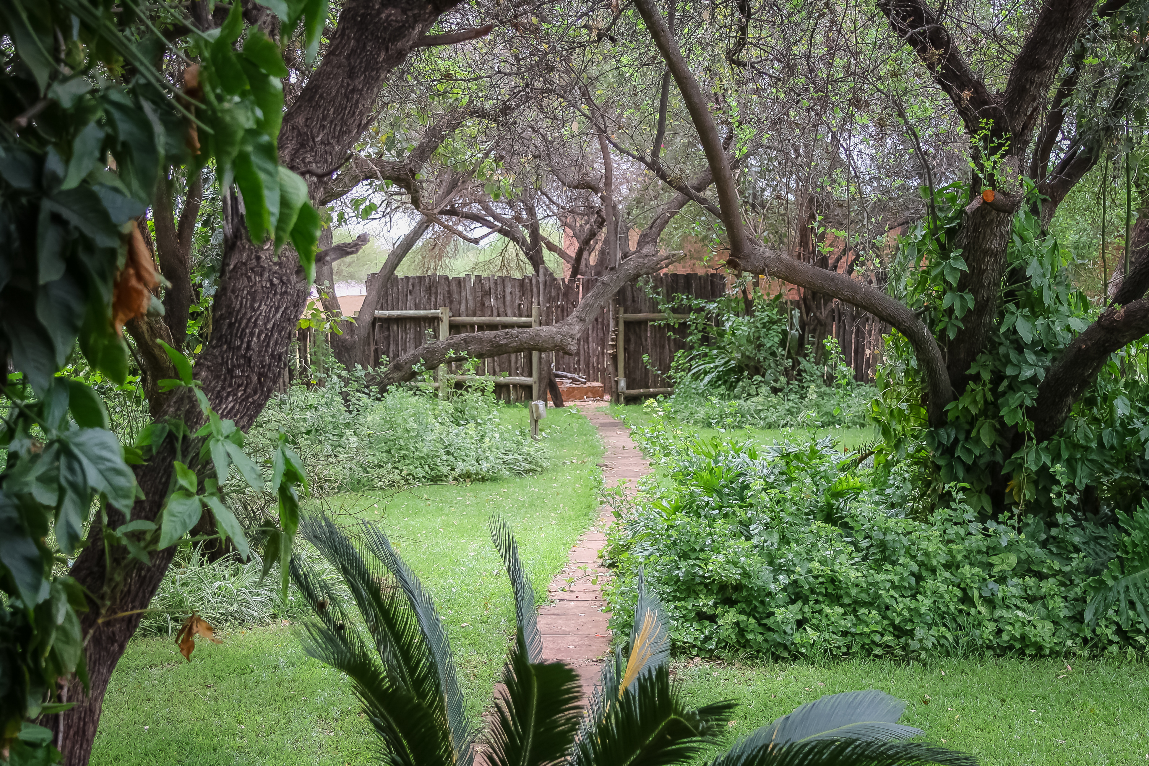 Palala Cottage