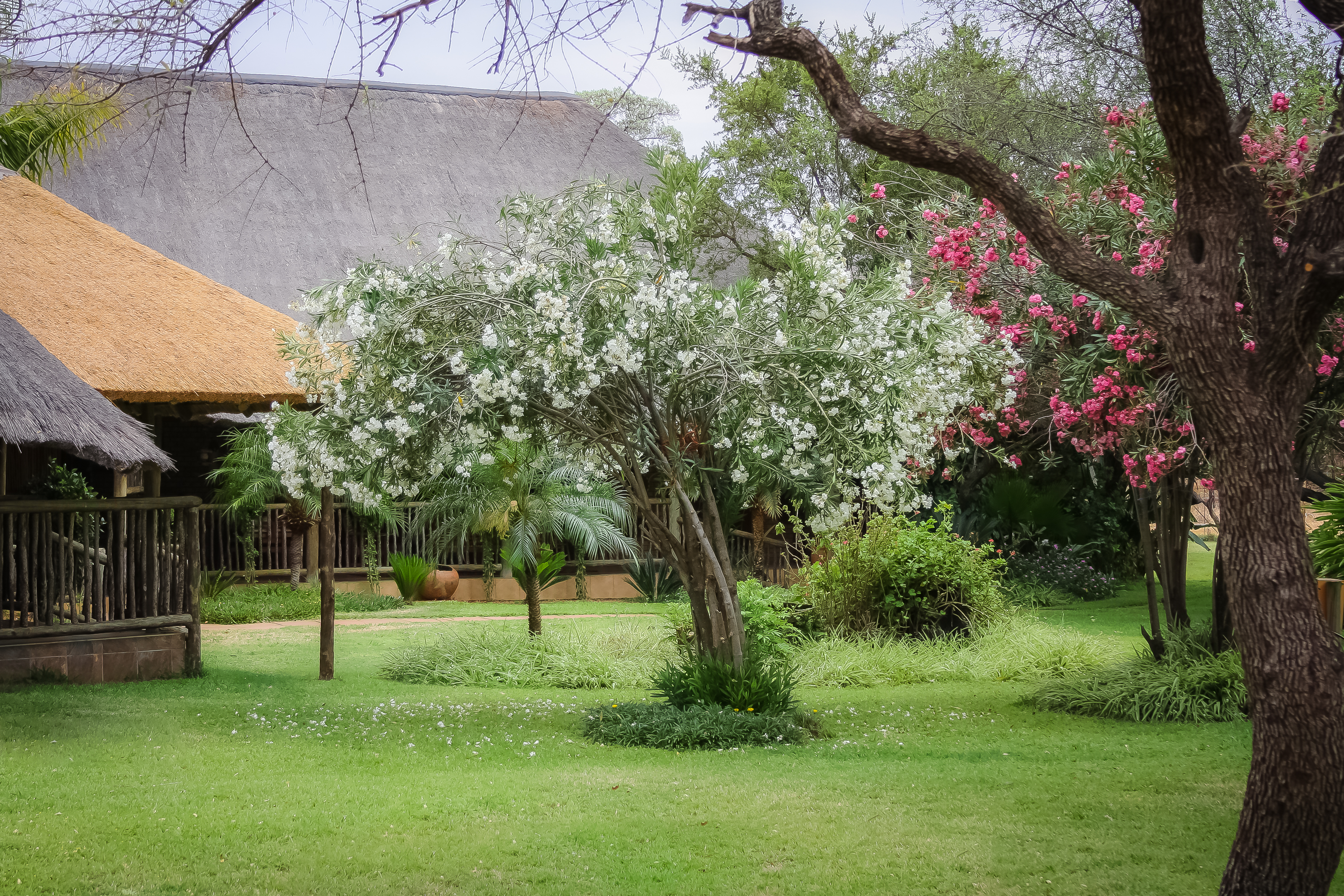 Palala Cottage