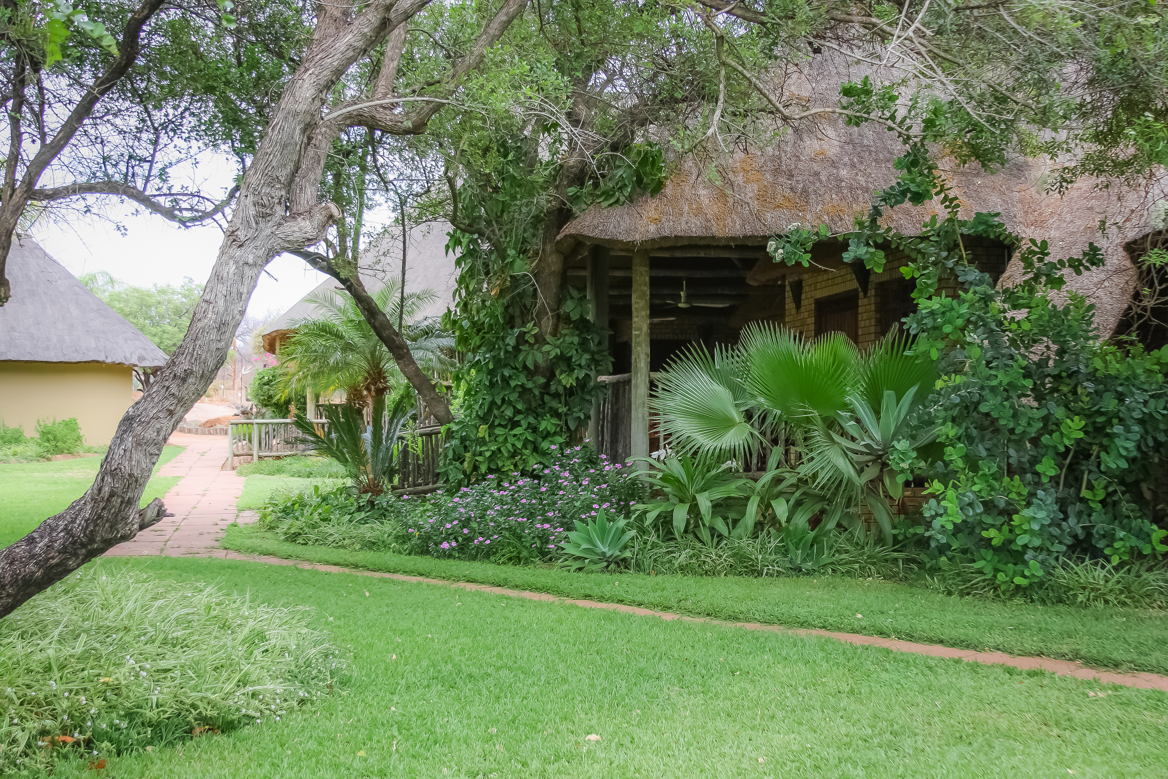Palala Cottage